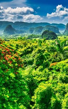 Lush Green Karst Landscape with Dramatic Mountains and Bright Blue Sky Stock Photos