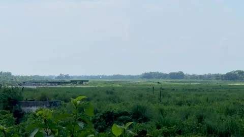 Lush green landscape with distant trees under a clear blue sky on a sunny d.. Vídeos de archivo 339369239