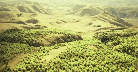 Lush green landscape featuring rolling hills and dense forests at sunrise Illustrazione stock