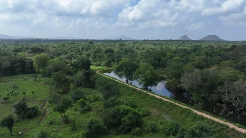 Lush green landscape with a winding path and a serene river under a blue sky Stock Footage 302233720
