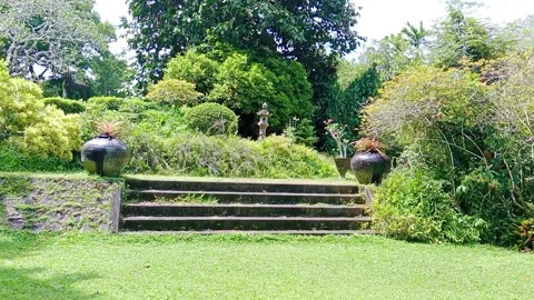 Lush green lawn and trees in a peaceful garden landscape Stock Footage 346335857