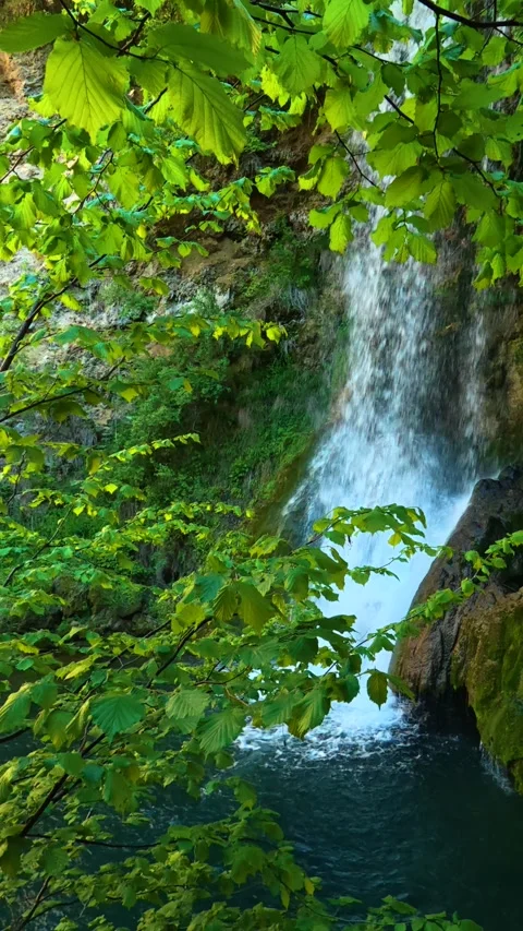 Lush green leaves frame a cascading waterfall. Veliki Buk, Serbia. Vertical Stock Footage 336890778