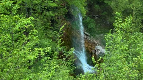 Lush green leaves frame a cascading waterfall. Gostilje Waterfall, Serbia. Stock Footage 337059577