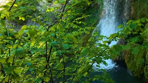 Lush green leaves frame a hidden waterfall. Veliki Buk, Serbia. Stock Footage 336888319