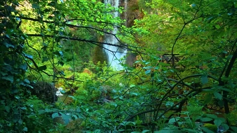 Lush green leaves frame a hidden waterfall. Veliki Buk, Serbia. Stock-Footage 336888920