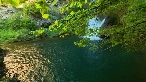 Lush green leaves frame a tranquil waterfall. Veliki Buk, Serbia. Vídeo Stock 336888256