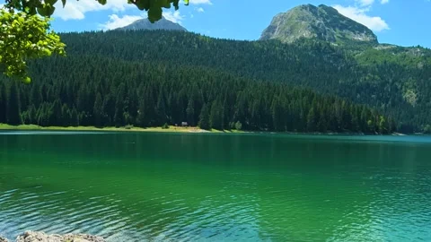 Lush green leaves frame a tranquil turquoise lake. Black Lake, Montenegro Stock Footage 342968904