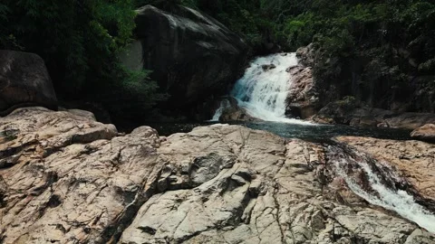 Lush green leaves move from the wind, Vietnam. Amazing beautiful waterfall in Stock Footage 256042591
