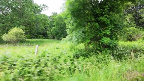 Lush Green Meadow and Forest Landscape in Rural Paris France Stock-Footage 335849826