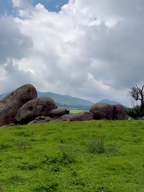 Lush Green Meadow and Large Boulders Stock Footage 340872100