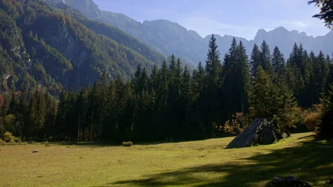 Lush green meadow surrounded by forest and mountain peaks Stock Footage 258957793