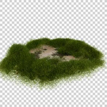Lush green moss patch with bare earth center isolated Foto stock