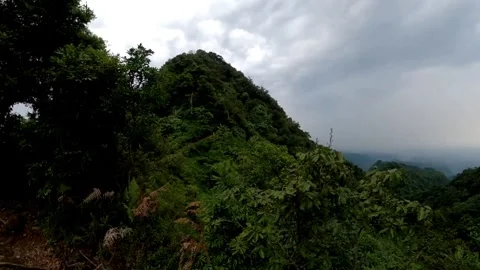 Lush Green Mountain with Dense Forest Stock Footage 279326265