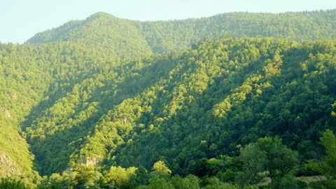 Lush Green Mountain Forest Landscape With Sunlight And Shadows 库存影片 334917634