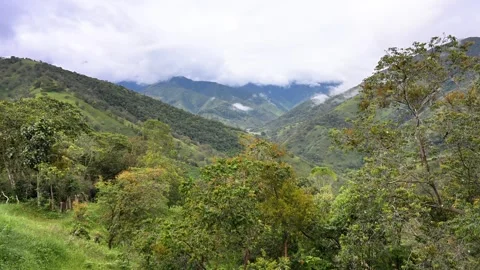 Lush Green Mountain Landscape on a Cloudy Day Stock Footage 313314074