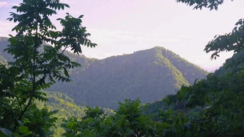 Lush Green Mountain Landscape With Dense Forest And Clear Sky Vidéo 334917377