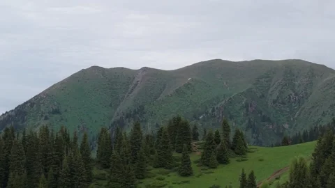 Lush green mountain landscape with dense pine trees and rolling hills 스톡 동영상 342312389