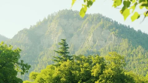 Lush Green Mountain Landscape With Forest And Clear Sky, Nature Conservation 库存影片 334917630