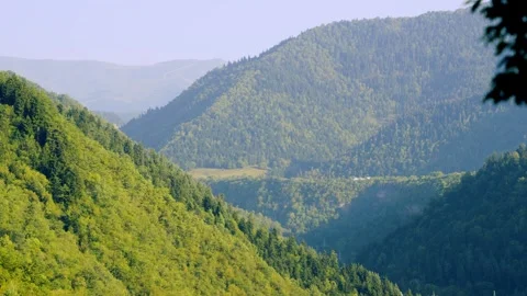 Lush Green Mountain Landscape With Rolling Hills And Dense Forest Under Clear 库存影片 335387836