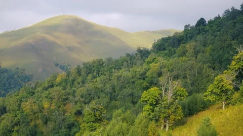 Lush green mountain landscape with rolling hills and dense forest Stock Footage 337239379