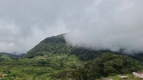 A lush green mountain partially covered by low-hanging clouds under an over.. Stock Footage 291381103