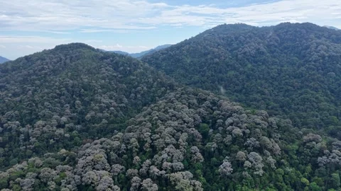 Lush Green Mountain Range with Dense Forest Cover and Blue Sky Stock Footage 339841567