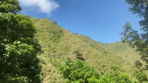 Lush Green Mountain Slopes under Clear Blue Sky Stock Footage 340435487