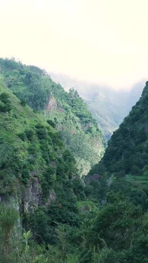 Lush green mountain valley with passing light and shadows Vidéo 334443265