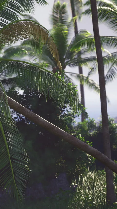 Lush green palms sway gently in a tropical paradise under a bright sky Stock Footage 331832793