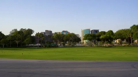 Lush green park lawn with distant city buildings Stock Footage 340502506