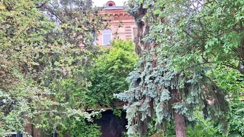Lush Green Park Path Framed by Tall Trees and Historic Building View Stock Footage 338045500