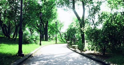 Lush green park pathway surrounded by trees under bright sunlight Stock Illustration