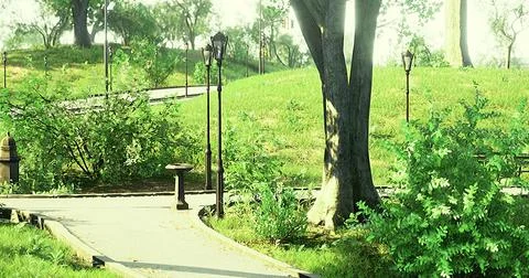 Lush green park pathway surrounded by trees and street lamps during daytime Stock Illustration