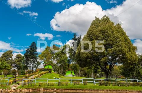 Lush Green Park View Stock Photos