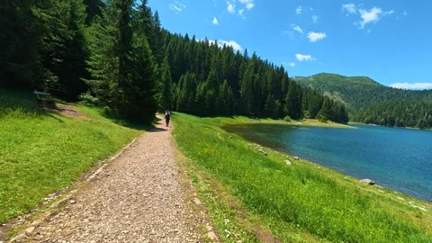Lush green path winds beside tranquil lake. Black Lake, Montenegro Stock-Footage 342970310