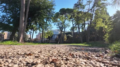 Lush green pathway winding through serene park landscape Vídeos de archivo 322798753