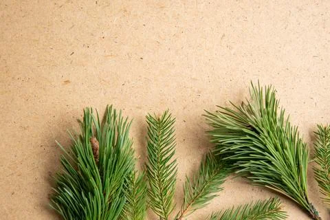 Lush green pine branches are carefully arranged on a textured brown surface,  Stock Photos