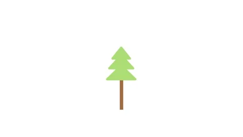 A lush green pine tree is depicted on a stark black background. Stock Footage 333571992