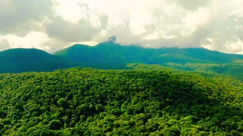 Lush green rainforest canopy below distant mountains shrouded in clouds aerial Stock Footage 344241471