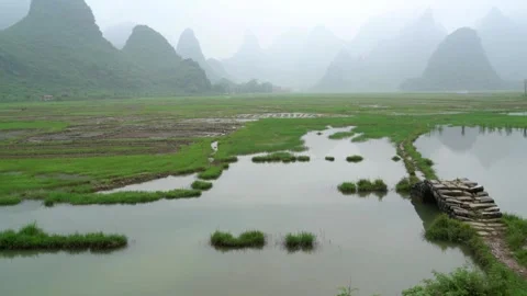 Lush green rice fields and karst mountains in a misty rural landscape Stock Footage 311819802
