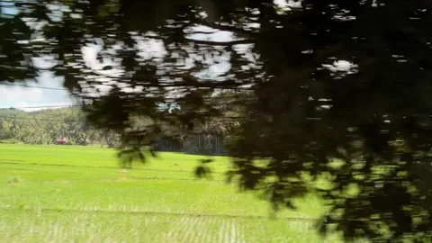Lush green rice fields and hills in the Philippines Vídeos de archivo 331263255