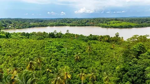 Lush green river landscape with trees and blue sky Stock Photos