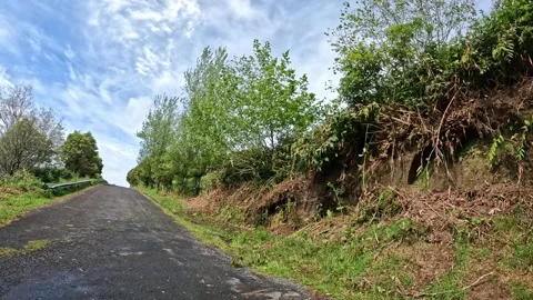 Lush Green Road Curving Through Vegetation on Flores Island, Azores, Under Видео 336712170