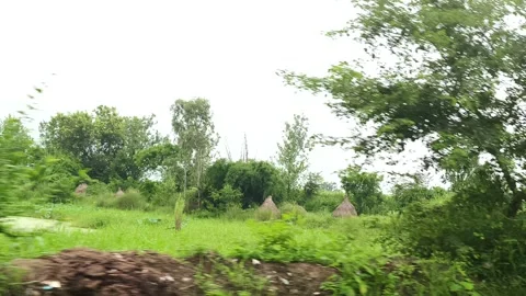 Lush Green Rural Landscape 스톡 동영상 343908863