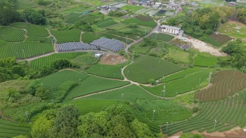 Lush Green Terraced Fields &amp; Countryside | Cinematic Drone Shot Stock-Footage 311278722