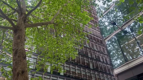 Lush green trees against modern City of London skyscrapers, urban nature Stock Footage 344947782