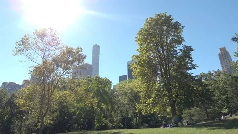 Lush green trees in breathtaking Central Park against Midtown Manhattan skyline Stock Footage 72362930