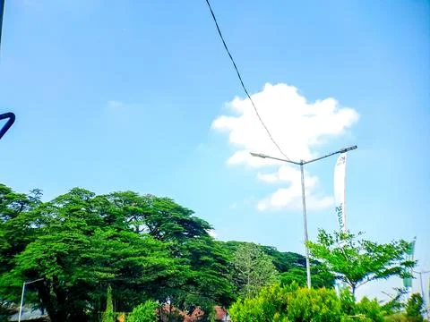 Lush green trees frame a bright blue sky with white clouds and light pole i.. Stock Photos
