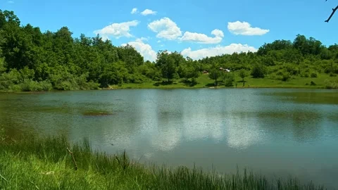 Lush green trees frame a calm reflective lake. Vrmdza Lake, Serbia Stock-Footage 338025681
