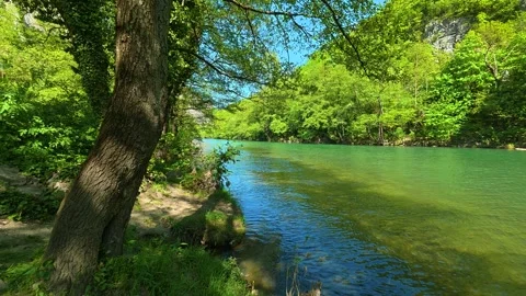 Lush green trees frame a clear river flowing gently. Balkan, Eastern Europe, POV Видео 333843797